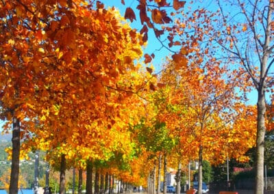 Uferpromenade in Luino im Herbst